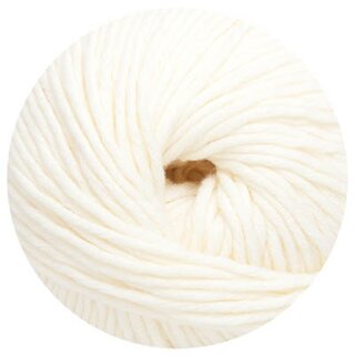 Linie 55 Montego 023