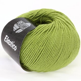 Elastico Pistazie (84)