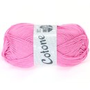 Cotone Nelke 02