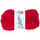 Cotone Rot 18