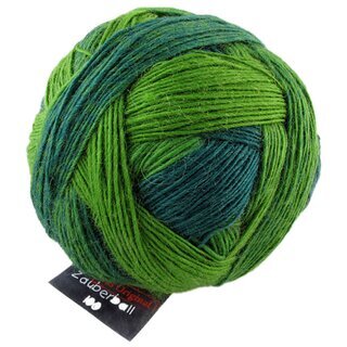 Zauberball Evergreen 2168