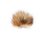 Pompon Polly
