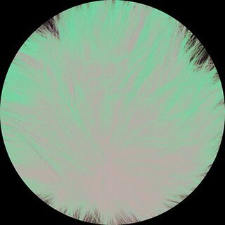 Pompon Polly 207