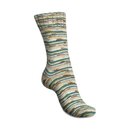 Regia Cotton Color 4-f�dig