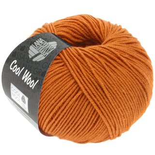 Cool Wool Merino Superfein Orangebraun 2053