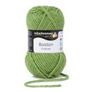 Boston jade meliert 71