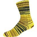 Supersocke 6-fach Merino Color Sort.290 2503