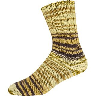 Supersocke 6-fach Merino Color Sort.290 2510