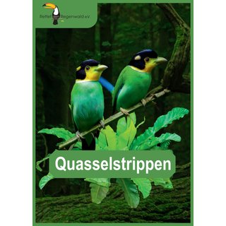 Opal 6-fach Regenwald 16  Die Rasselbande Quasselstrippen 9911