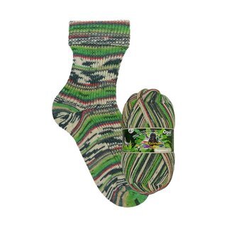 Opal 6-fach Regenwald 16  Die Rasselbande Die F�rsorgliche 9914