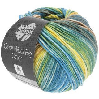 Cool Wool Big Color Graugrn/Camel/Gelb/Ecru/Resedagrn/Petrol 4020