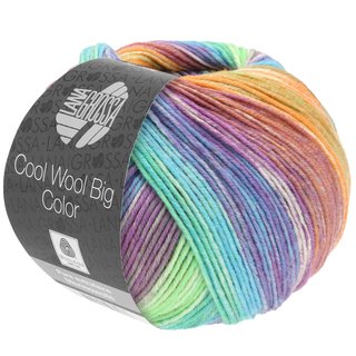 Cool Wool Big Color Violett/Trkis/Zartgrn/Orange/Ecru/Erikaviolett 4023