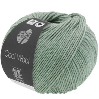 Cool Wool m�lange (We Care) Graugr�n meliert 1416