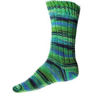 Supersocke 8fach Active Color 2849