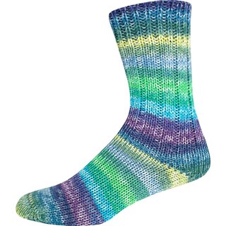 Supersocke 6-fach Merino Sortierung 349 2921