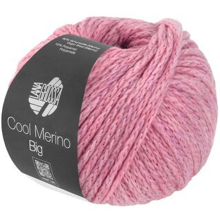 Cool Merino Big Rosa 231