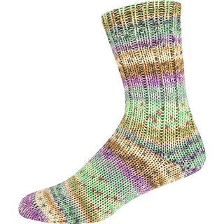 Supersocke 6-fach Snowfall Color 3104