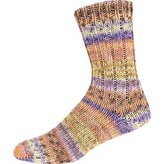 Supersocke 6-fach Snowfall Color 3106