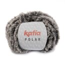 Polar 85-Grau