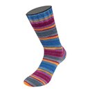 Landlust Die Sockenwolle 128