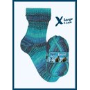 XLarge Eiszeit 8-fach