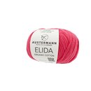 Elida
